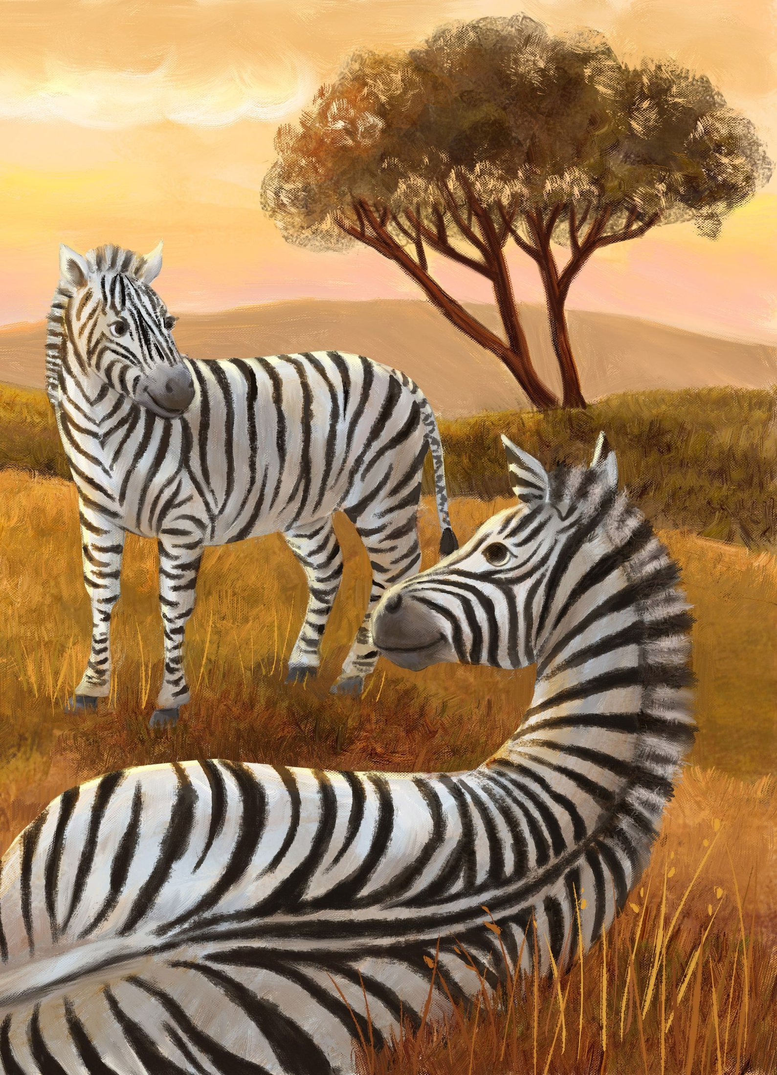 Full color finished painting of a zebra illustration at sunset.
